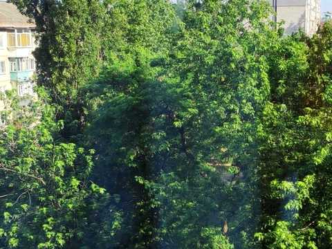 квартира по адресу Верховной Рады бульв., 19