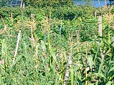 будинок за адресою Л.Українки, 23