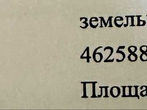 ділянка за адресою с. Бірки,