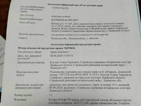 ділянка за адресою с. Нагачів, 