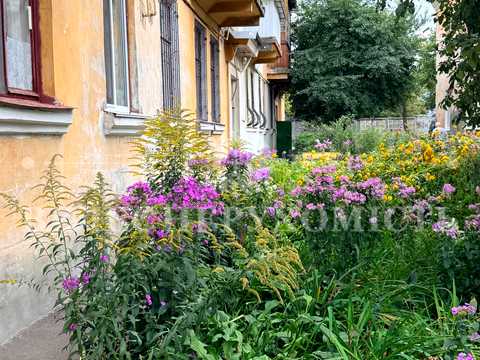 квартира за адресою Перемоги вул., 7