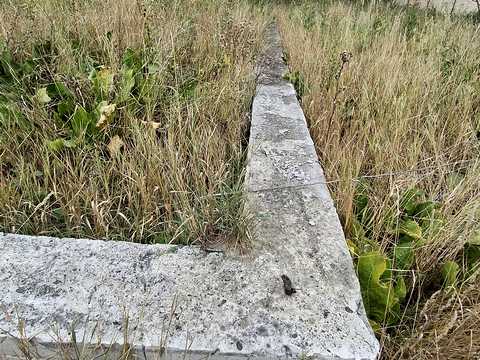 участок по адресу Центральная ул., 71
