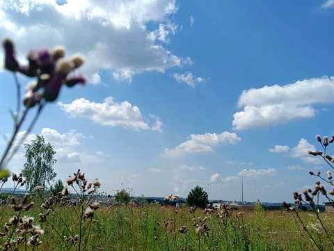 участок по адресу Березова ул.