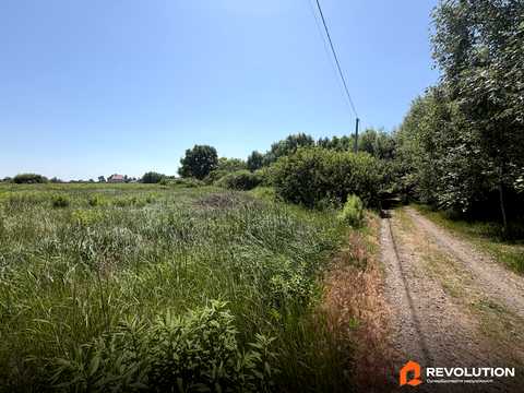 ділянка за адресою с. Красилівка, Івана Кожедуба