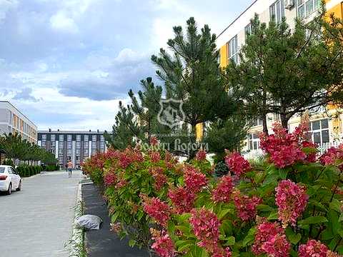 квартира по адресу Богдана Хмельницкого ул., (Будинок 32)