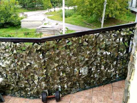 дом по адресу Заозёрная ул., 45