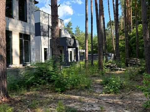будинок за адресою Борова вул.