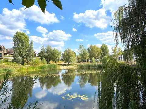 дом по адресу Лісна