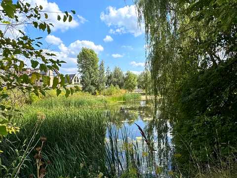 дом по адресу Лісна