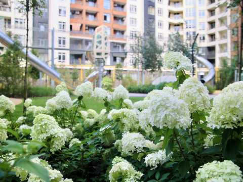 квартира за адресою Ольги Кобилянської вул. (Достоєвського), (Будинок 38)