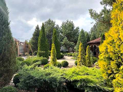 дом по адресу Вишнева, 77