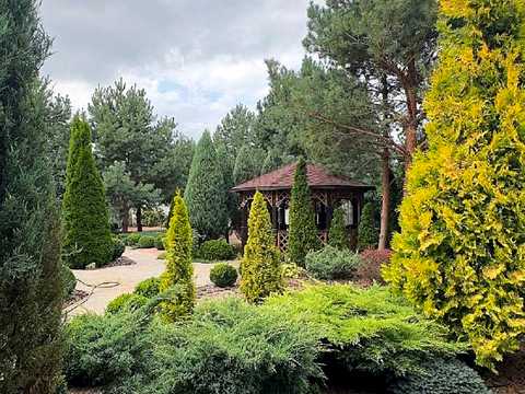 дом по адресу Вишнева, 77