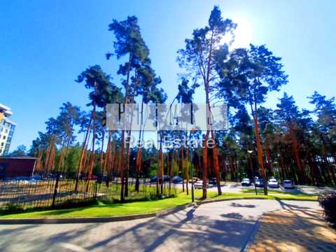 коммерческая по адресу Прорізна ул., 1