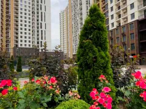 квартира по адресу Краснова ул., (67 перлина)