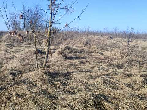 участок по адресу Сосюри