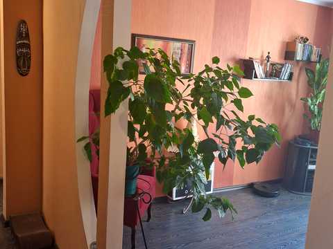 квартира за адресою Райдужний масив вул., 2