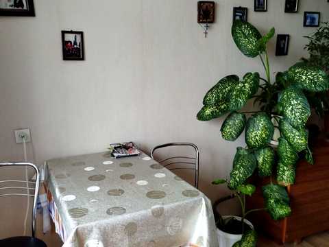 комната по адресу Чистяковская ул., 7