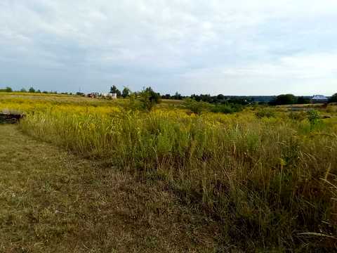 ділянка за адресою с. Боголюби, 