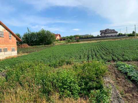 ділянка за адресою с. Великі Грибовичі, 