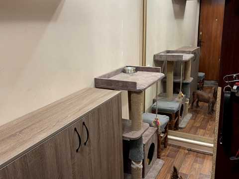 квартира за адресою Гарібальді вул., 26