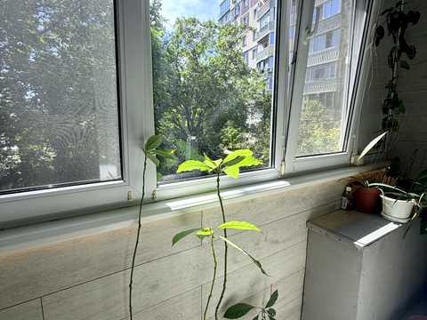 квартира по адресу Научная ул., 52