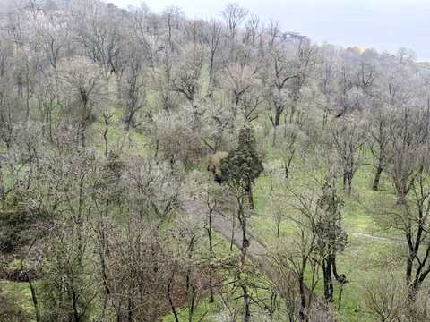 квартира за адресою Французький бульв., 85/5
