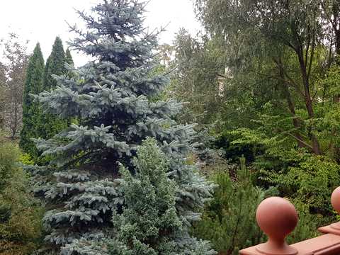 будинок за адресою Лісова вул.