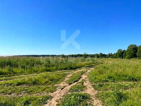 ділянка за адресою с. Дмитрівка, Зоряна