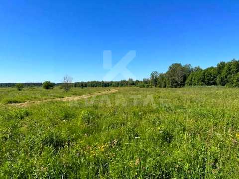 ділянка за адресою с. Дмитрівка, Зоряна