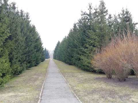 ділянка за адресою Радянська, 2-А
