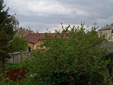 квартира по адресу Князя Льва ул., 2