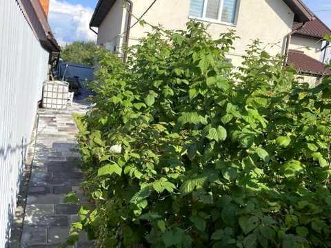 будинок за адресою перемоги