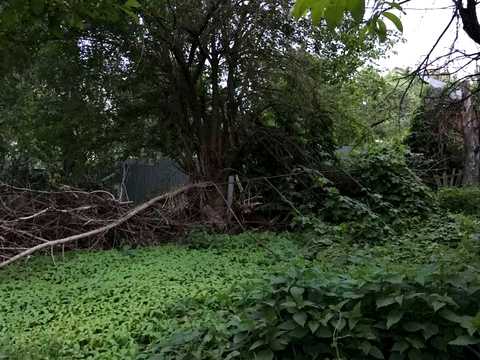 участок по адресу Максима Кривцова пер., 1
