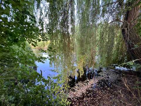 будинок за адресою Насті Присяжнюк вул. (Г. Морозової), 41
