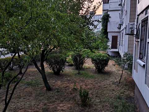 комерційна за адресою Петра Григоренка просп., 36