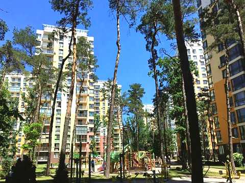 квартира за адресою Анатолія Петрицького вул., 13