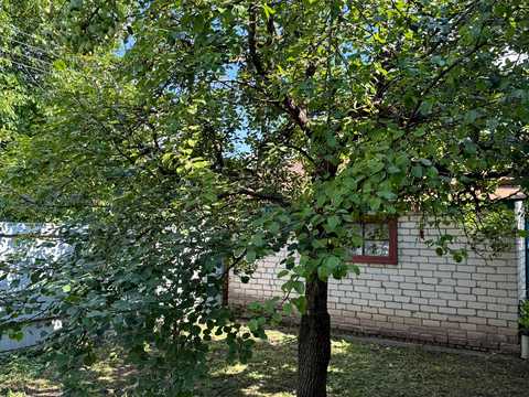 будинок за адресою Яготин, Шевченка вул., 41