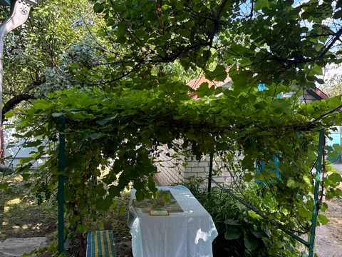 будинок за адресою Яготин, Шевченка вул., 41