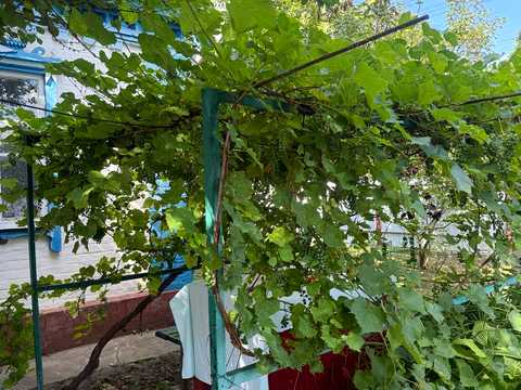 будинок за адресою Яготин, Шевченка вул., 41