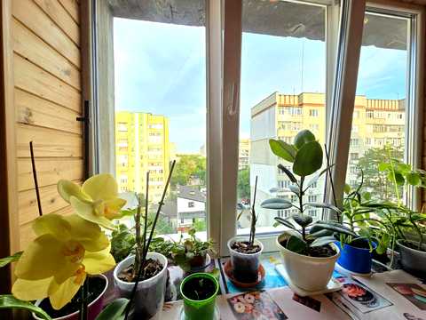 кімната за адресою Петра Полтави вул., 36