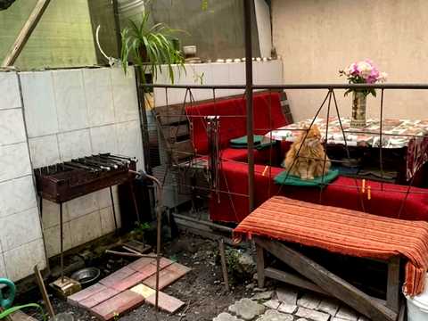 квартира за адресою Мальовнича вул. (Скворцова), 24