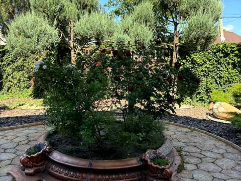 будинок за адресою Юрія Лісняка вул. (Робкорівська)