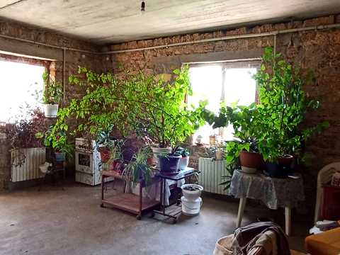 комерційна за адресою Одеська вул., 28