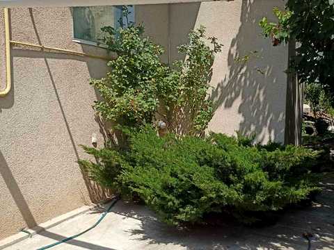 комерційна за адресою Одеська вул., 28