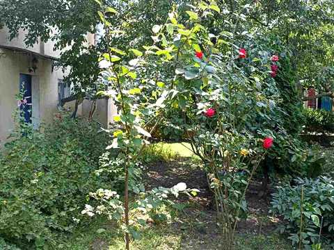 комерційна за адресою Одеська вул., 28