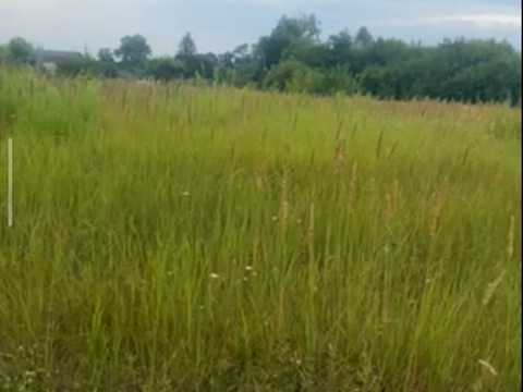 участок по адресу с. Шевченково, 