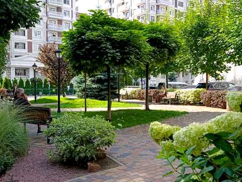 квартира за адресою Михайла Максимовича вул. (Онуфрія Трутенка), 26-Д