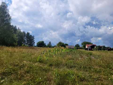 дом по адресу Шевченка, 22