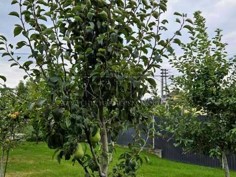 дом по адресу Тараса Шевченка ул. (Гагаріна)