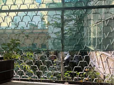 квартира по адресу Богдана Хмельницкого ул., 66